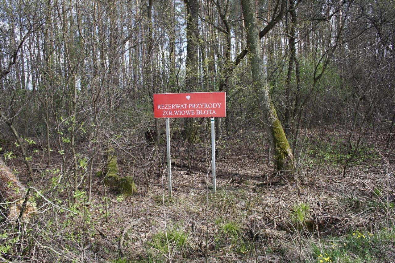 Willa Gajówka Żłobek Zlobek  Zewnętrze zdjęcie